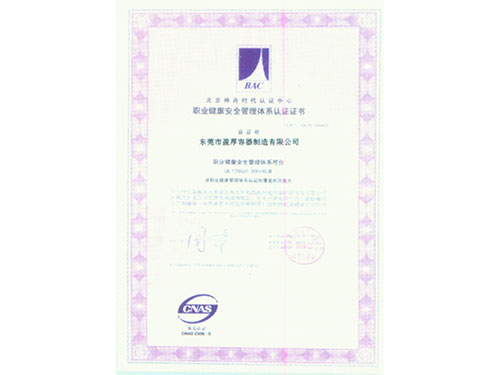 職業(yè)健康安全管理體系認(rèn)證證書